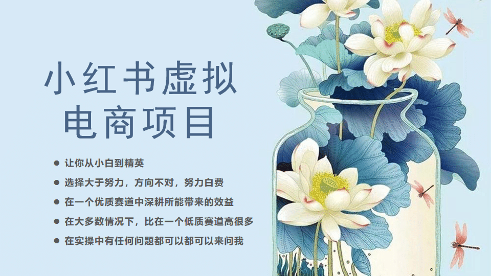 小红书虚拟电商从0到1，让你从小白到精英（20节实操课程）-云阁资源网