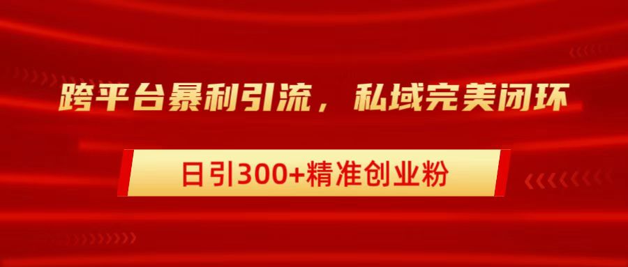 跨平台暴力引流，私域完美闭环，日引300+精准创业粉-云阁资源网