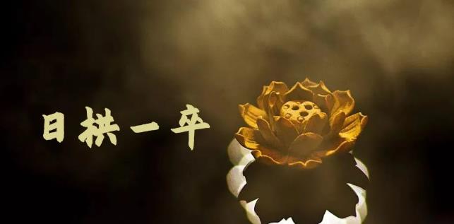 无脑搬砖，普通人可以复制的副业赚钱项目(附软件)-云阁资源网