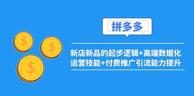 2022拼多多：新店新品的起步逻辑+高端数据化运营技能+付费推广引流能力提升-云阁资源网