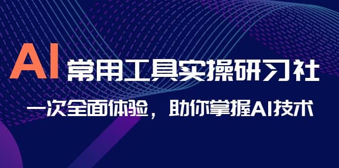 AI-常用工具实操研习社，一次全面体验，助你掌握AI技术-云阁资源网