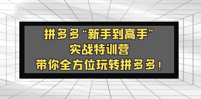 拼多多“新手到高手”实战特训营：带你全方位玩转拼多多-云阁资源网