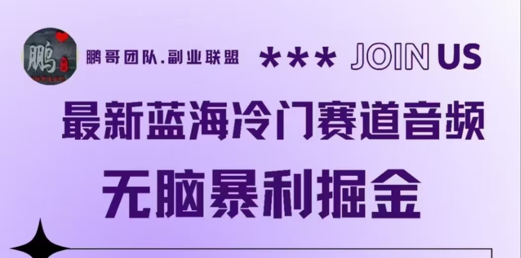 最新蓝海冷门赛道音频，无脑暴利掘金-云阁资源网
