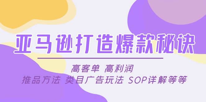 亚马逊打造爆款秘诀：高客单 高利润 推品方法 类目广告玩法 SOP详解等等-云阁资源网