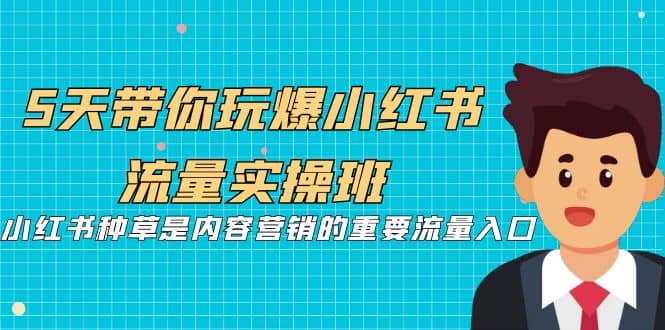 5天带你玩爆小红书流量实操班，小红书种草是内容营销的重要流量入口-云阁资源网