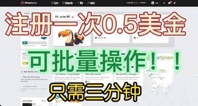 国外项目注册一次0.5美金 只需三分钟无脑操作 可批量放大 小白工作室福利-云阁资源网