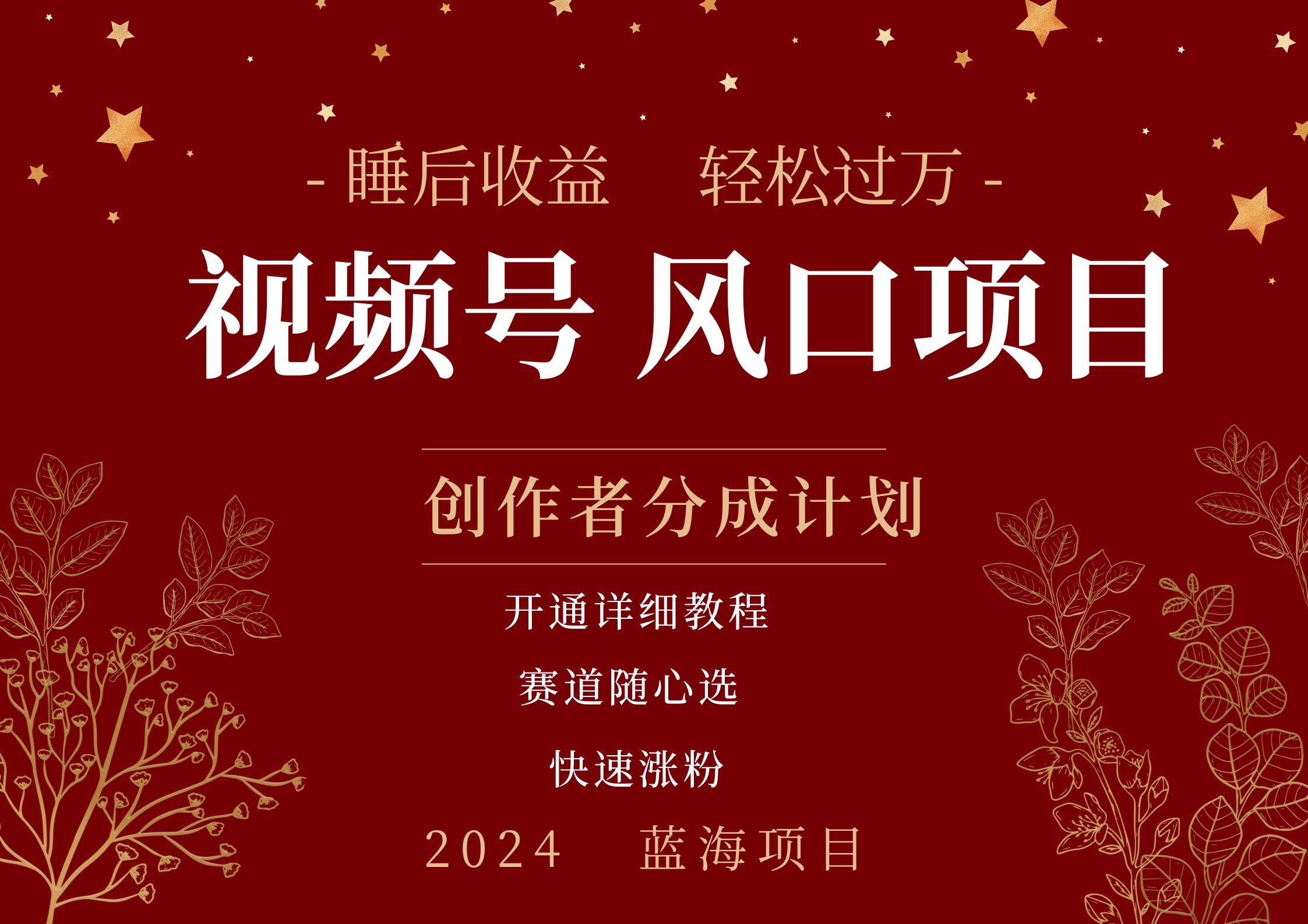拥有睡眠收益的微信视频号大风口项目，轻松月入过万+，多赛道选择，可矩阵，玩法简单轻松上手-云阁资源网