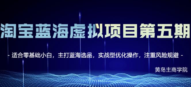 淘宝虚拟无货源3.0+4.0+5.0，适合零基础小白，主打蓝海选品，实战型优化操作-云阁资源网