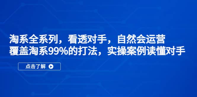 淘系全系列，看透对手，自然会运营，覆盖淘系99%·打法，实操案例读懂对手-云阁资源网