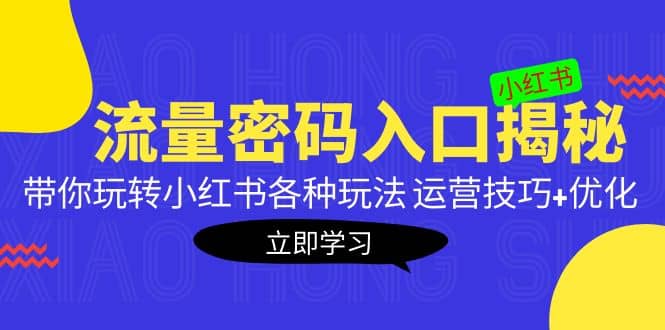 小红书流量密码入口揭秘：带你玩转小红书各种玩法 运营技巧+优化-云阁资源网