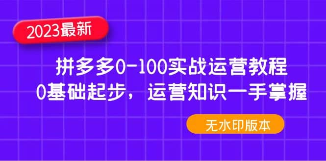 2023拼多多0-100实战运营教程，0基础起步，运营知识一手掌握（无水印）-云阁资源网