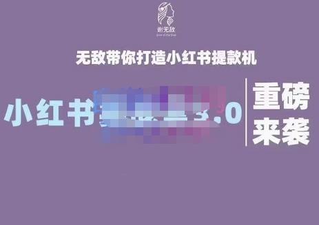谢无敌·小红书实战营3.0，无敌带你打造小红书提款机 价值7999元-云阁资源网