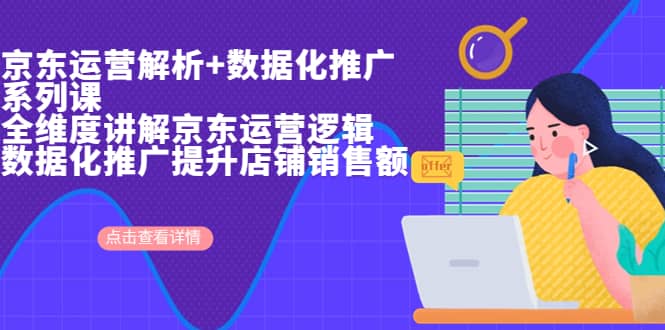 京东运营解析与数据化推广系列课，全维度讲解京东运营逻辑+数据化推广提升店铺销售额-云阁资源网
