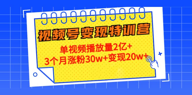 20天视频号变现特训营：单视频播放量2亿+-云阁资源网