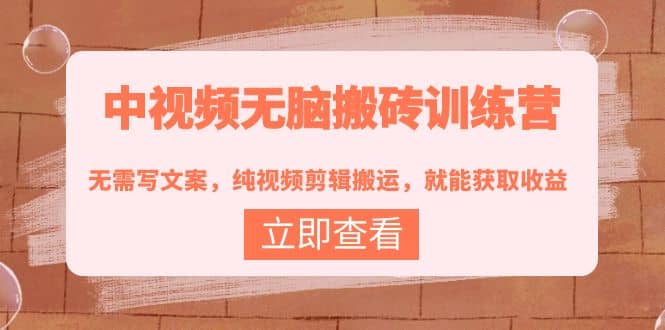 中视频无脑搬砖训练营：无需写文案，纯视频剪辑搬运，就能获取收益-云阁资源网