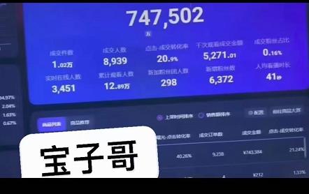 宝子哥无人直播，半无人直播，Obs+伴侣玩法，快速打标签+养鱼-云阁资源网