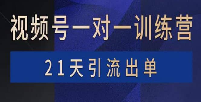 视频号训练营：带货，涨粉，直播，游戏，四大变现新方向，21天引流出单-云阁资源网