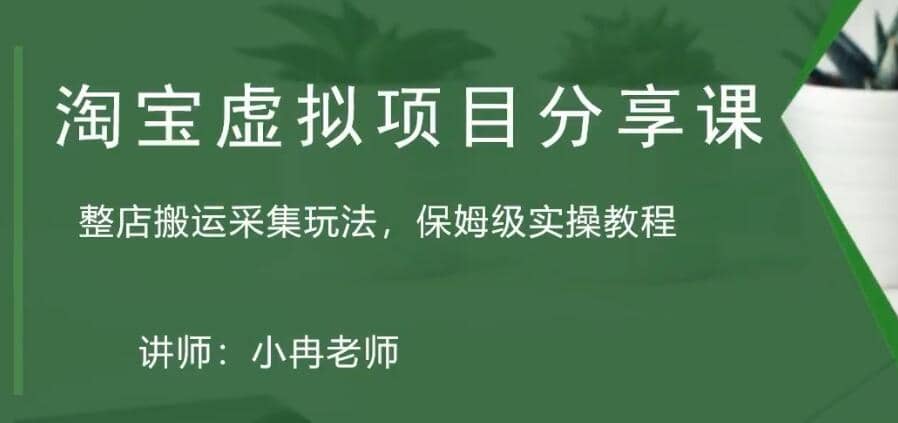 淘宝虚拟整店搬运采集玩法分享课：整店搬运采集玩法，保姆级实操教程-云阁资源网