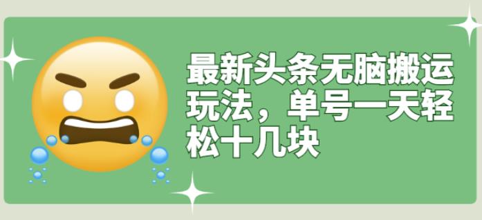最新头条无脑搬运玩法，单号一天轻松十几块【视频教程+搬运软件】-云阁资源网