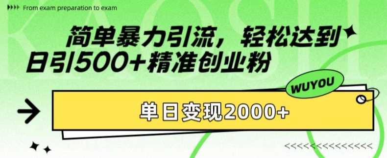 简单暴力引流轻松达到日引500+精准创业粉，单日变现2k【揭秘】-云阁资源网