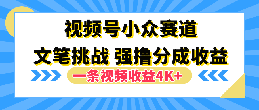 视频号小众赛道，文笔挑战，一条视频收益4K+-云阁资源网