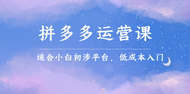 拼多多运营课，适合小白初涉平台，低成本入门-云阁资源网