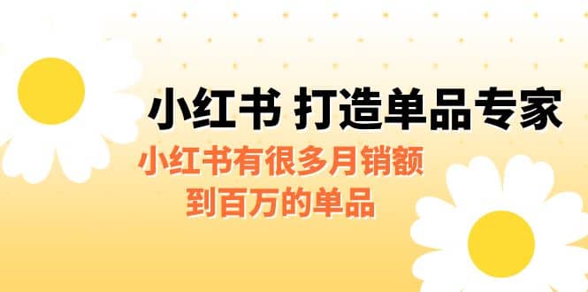 某公众号付费文章《小红书 打造单品专家》小红书有很多月销额到百万的单品-云阁资源网