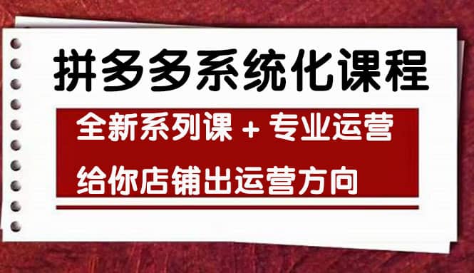 车神陪跑，拼多多系统化课程，全新系列课+专业运营给你店铺出运营方向-云阁资源网