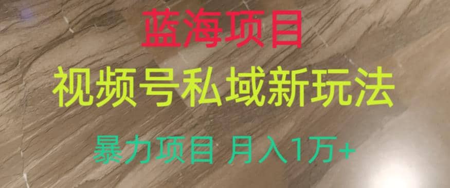 蓝海项目，视频号私域新玩法，暴力项目月入1万+【揭秘】-云阁资源网