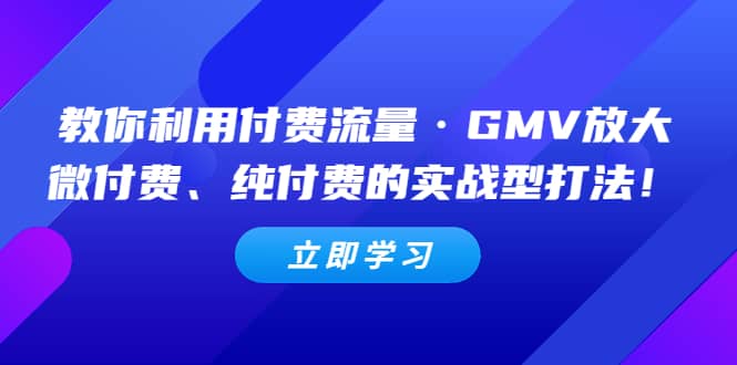 教你利用付费流量·GMV放大，微付费、纯付费的实战型打法-云阁资源网