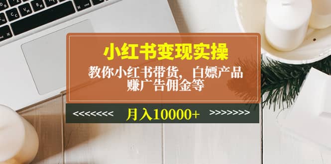小红书变现实操：教你小红书带货，白嫖产品，赚广告佣金等-云阁资源网