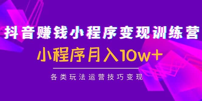 抖音小程序变现训练营：小程序各类玩法运营技巧变现-云阁资源网