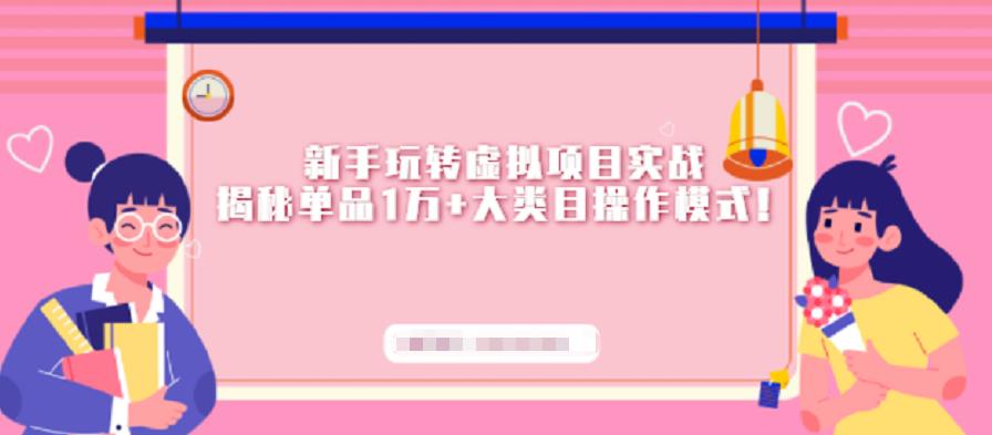 新手玩转虚拟项目实战，揭秘单品1万+大类目操作模式【视频课程】-云阁资源网