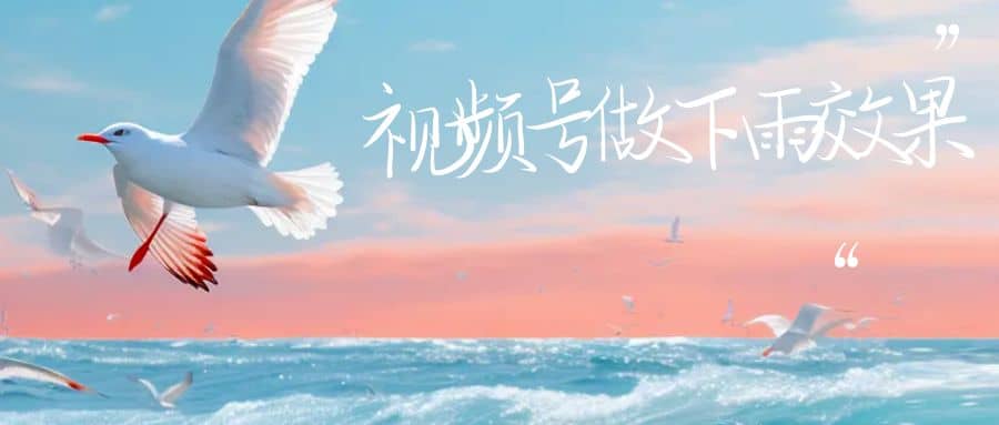 视频号做下雨视频一个账号一周涨粉10W+年入100w-云阁资源网