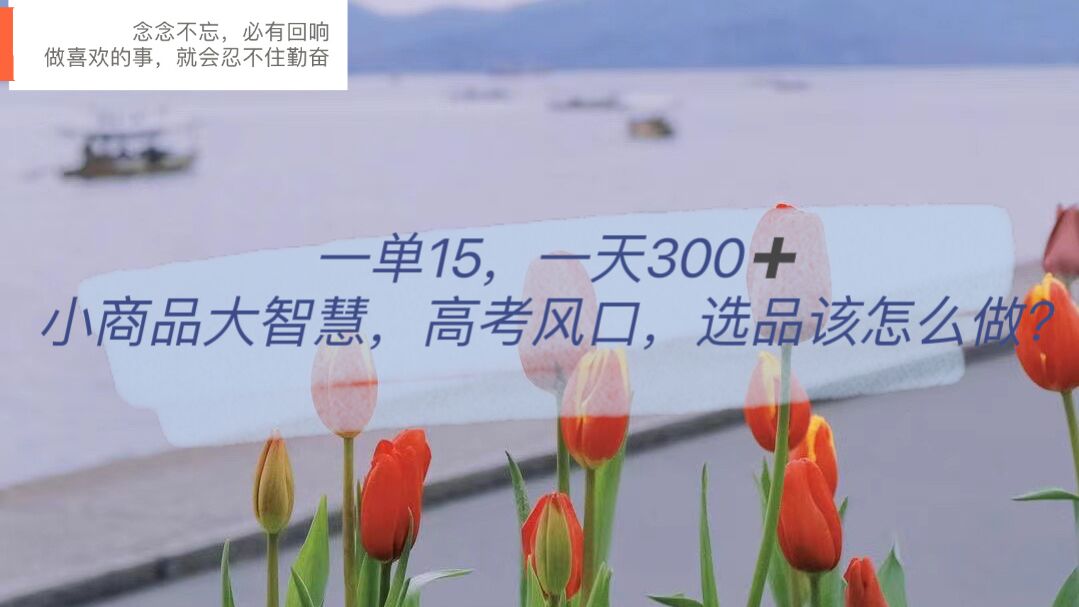 一单15，一天300+，小商品大智慧，高考风口，选品该怎么布局-云阁资源网