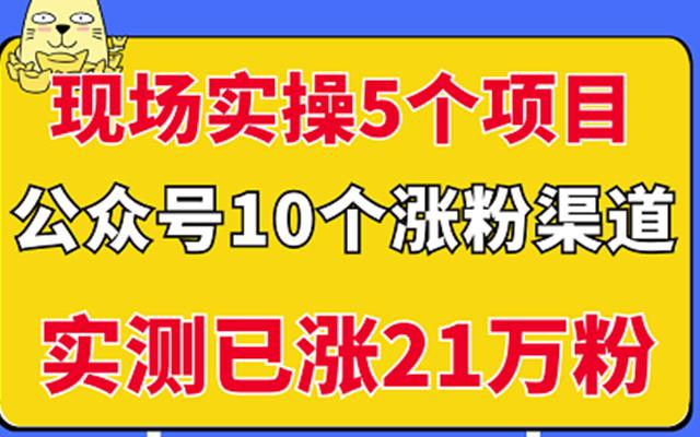 现场实操5个公众号项目，10个涨粉渠道，实测已涨21万粉！-云阁资源网