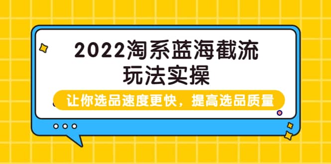 2022淘系蓝海截流玩法实操：让你选品速度更快，提高选品质量（价值599）-云阁资源网