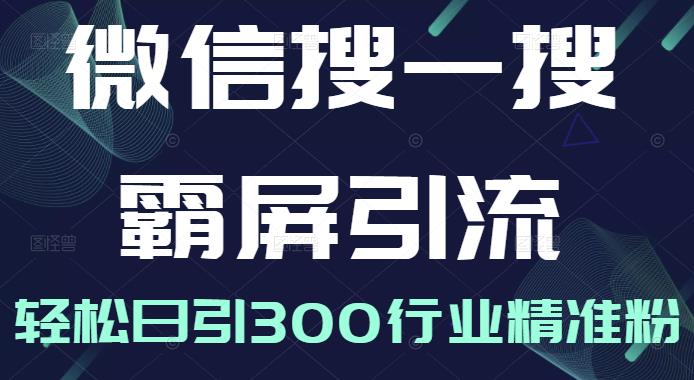 微信搜一搜霸屏引流课，打造被动精准引流系统，轻松日引300行业精准粉【无水印】-云阁资源网