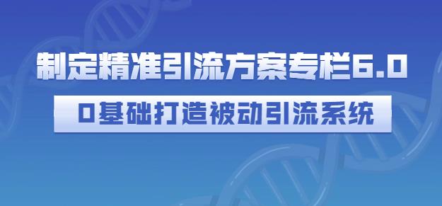 制定精准引流方案专栏6.0，0基础打造被动引流系统-云阁资源网