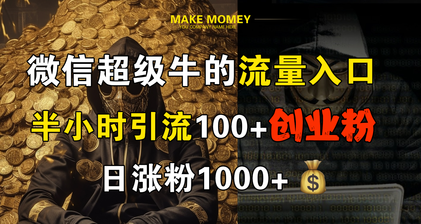 微信超级牛的流量入口，半小时引流100+创业粉，日涨粉1000+-云阁资源网