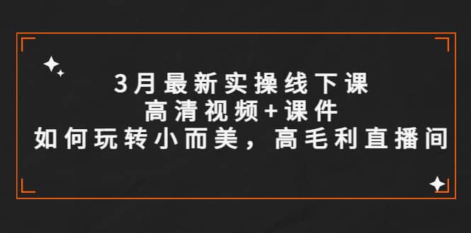 3月最新实操线下课高清视频+课件，如何玩转小而美，高毛利直播间-云阁资源网