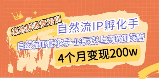 某社群收费培训：自然流IP 孵化手-14天线上实操训练营 4个月变现200w-云阁资源网
