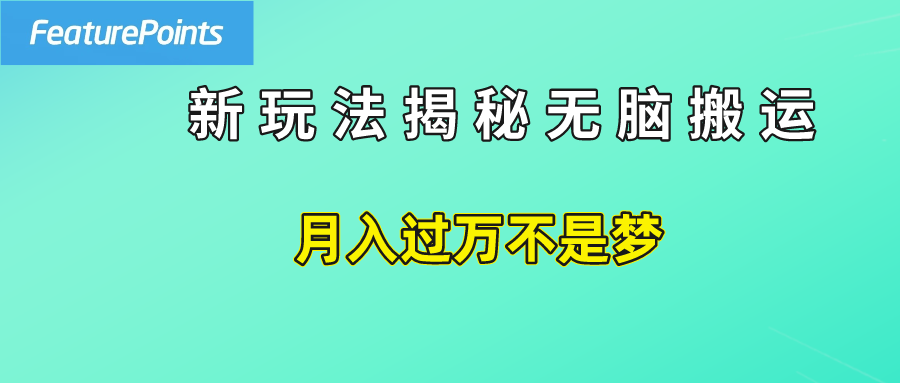 简单操作，每天50美元收入，搬运就是赚钱的秘诀！-云阁资源网