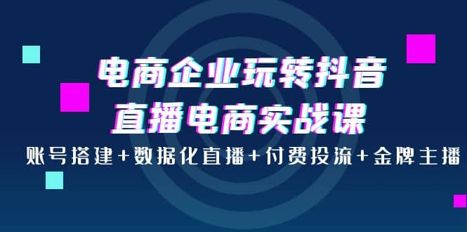 电商企业玩转抖音直播电商实战课：账号搭建+数据化直播+付费投流+金牌主播-云阁资源网