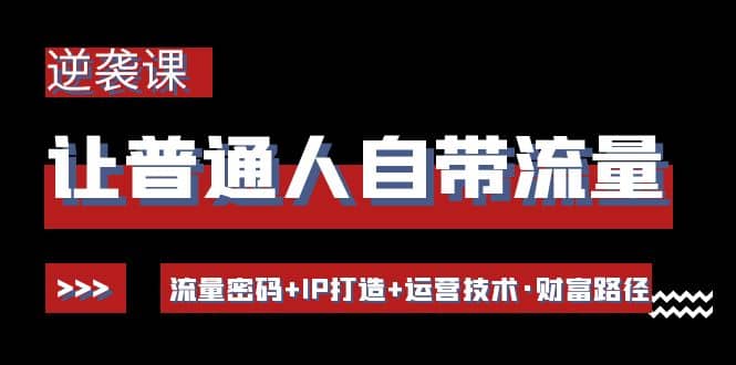 让普通人自带流量的逆袭课：流量密码+IP打造+运营技术·财富路径-云阁资源网