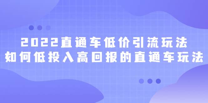 2022直通车低价引流玩法，教大家如何低投入高回报的直通车玩法-云阁资源网