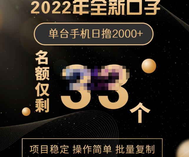 2022年全新口子，手机批量搬砖玩法，一部手机日撸2000+-云阁资源网