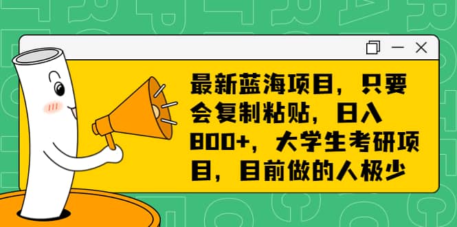 最新蓝海项目，只要会复制粘贴，日入800+，大学生考研项目，目前做的人极少-云阁资源网
