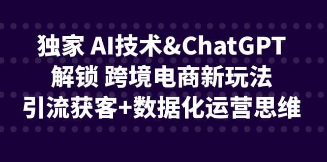 独家 AI技术ChatGPT解锁 跨境电商新玩法，引流获客+数据化运营思维-云阁资源网