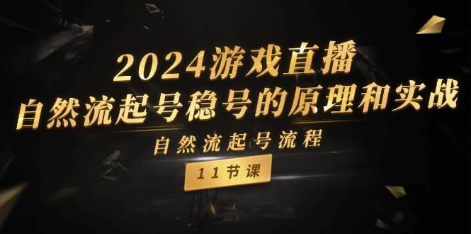 2024游戏直播-自然流起号稳号的原理和实战，自然流起号流程（11节）-云阁资源网